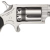North American Arms | The Wasp | 22 Magnum | Stainless