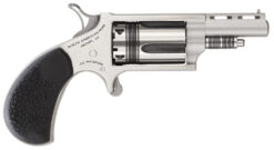 North American Arms | The Wasp | 22 Magnum | Stainless