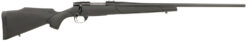 Weatherby | Vanguard Obsidian | 243 Win | Matte Blue
