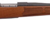 Weatherby | Vanguard Camilla | 243 Win | Matte Blue