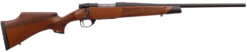 Weatherby | Vanguard Camilla | 243 Win | Matte Blue
