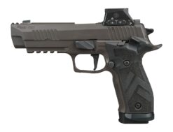 SIG SAUER | P226 X-Five Full Size | 9mm | Legion Gray