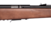 Savage Arms | 93 G | 22 Magnum | Matte Blue