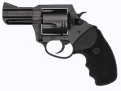 Charter Arms | Mag Pug | 357 Magnum | 38 Special | Nitride