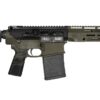 Diamondback Firearms | DB10 | 8.6 Blackout | Black/ODG