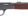 Henry Repeating Arms | Big Boy Steel | 41 Magnum | Blue