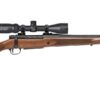 Mossberg | Patriot Rifle | 22-250 | Matte Blue