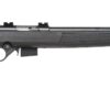 Mossberg | 817 | 17 HMR | Blue