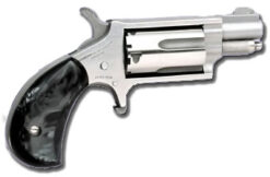 North American Arms | Mini-Revolver | 22 Magnum | Stainless
