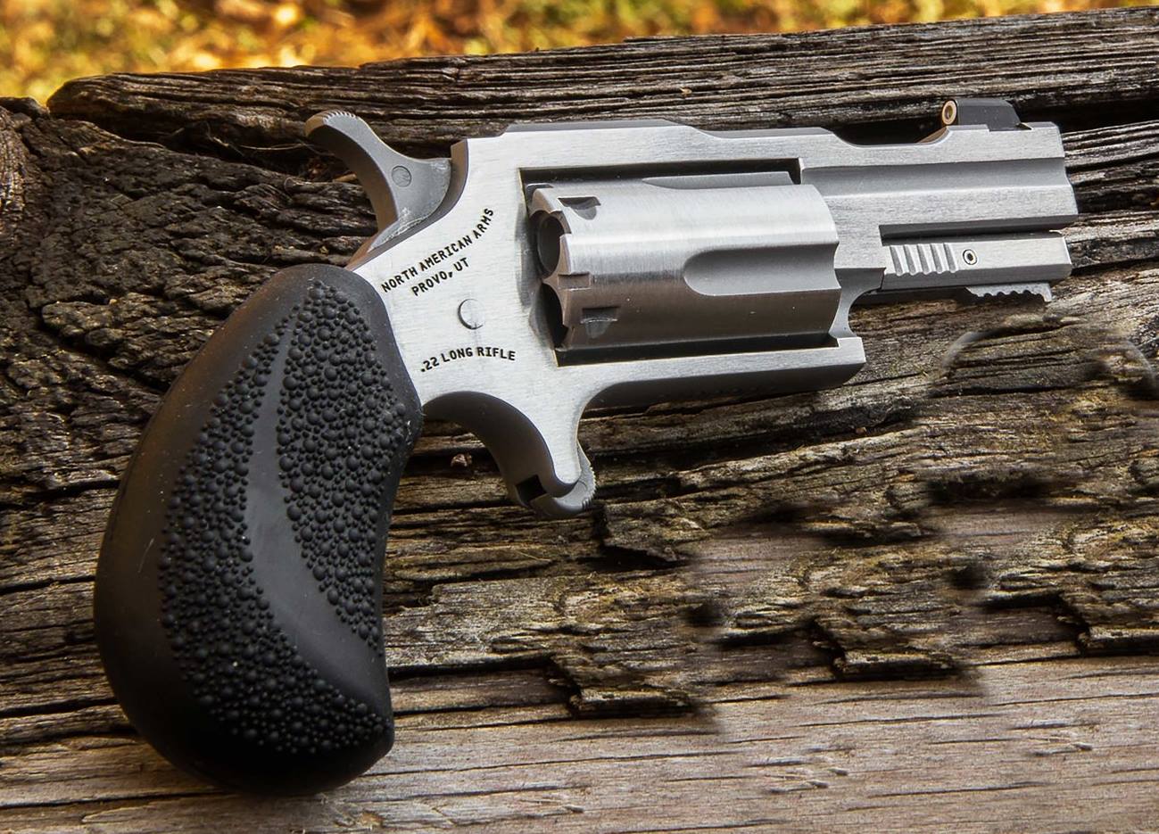 North American Arms | Bug Out II | 22 Magnum | Stainless