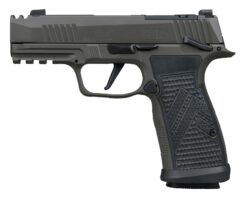 SIG SAUER | P365 AXG Legion | 9mm | Legion Gray Cerakote