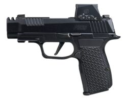 SIG SAUER | P365 AXG Luxe | 380 ACP | Pearlescent Black LUXE