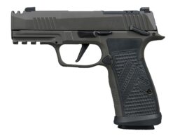 SIG SAUER | P365 AXG Legion | 9mm | Legion Gray