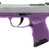 SIG SAUER | P365 | 9mm | Stainless Steel