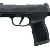 SIG SAUER | P365 XL Comp | 380 ACP | Nitron