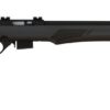 Rossi | RB22M | 22 Magnum | Matte Black