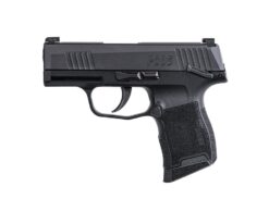SIG SAUER | P365 | 380 ACP | Nitron