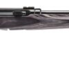 Savage Arms | A17 Target | 17 HMR | Black