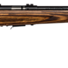 Savage Arms | 93R17 BV | 17 HMR | Matte Blue