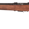 Savage Arms | 93R17 GV | 17 HMR | Matte Blue