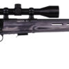 Savage Arms | 93R17 BgTV-XP | 17 HMR | Blue
