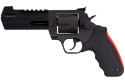 Taurus | Raging Hunter | 454 Casull | Matte