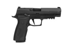 SIG SAUER OFF-DUTY | P320 AXG | 9mm | Nitron