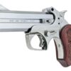 Bond Arms | Snake Slayer IV | 357 Magnum | 38 Special | Stainless Steel