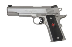 Colt | Delta Elite | 10mm | Stainless Steel