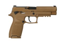 SIG SAUER OFF-DUTY | P320 M17 | 9mm | Coyote