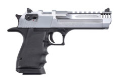 Magnum Research | Desert Eagle L5 | 357 Magnum | Brushed Chrome