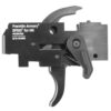 Franklin Armory | BFSIII Binary Firing System | Multi