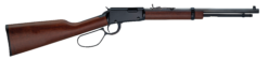 Henry Repeating Arms | H1 Frontier | 22 Magnum | Black