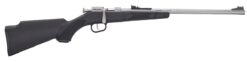 Henry Repeating Arms | H5 Mini Bolt | 22 LR | Matte Stainless