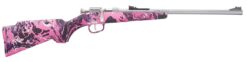 Henry Repeating Arms | H5 Mini Bolt | 22 LR | Matte Stainless