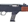 Henry Repeating Arms | Homesteader Carbine | 9mm | Blued Steel