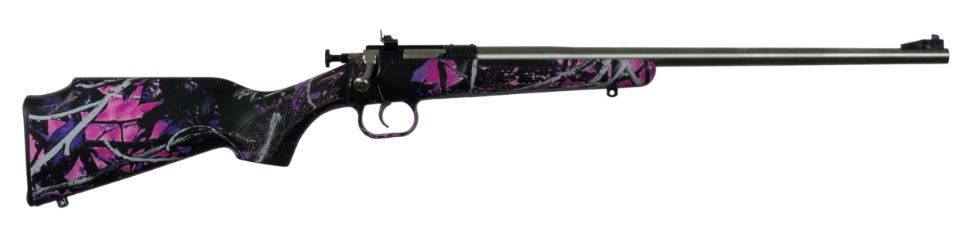 Keystone Sporting Arms | Crickett | 22 LR | Stainless