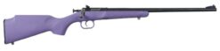 Keystone Sporting Arms | Crickett | 22 LR | Blue