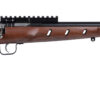 Keystone Sporting Arms | Crickett Precision Rifle | 22 LR | Blued