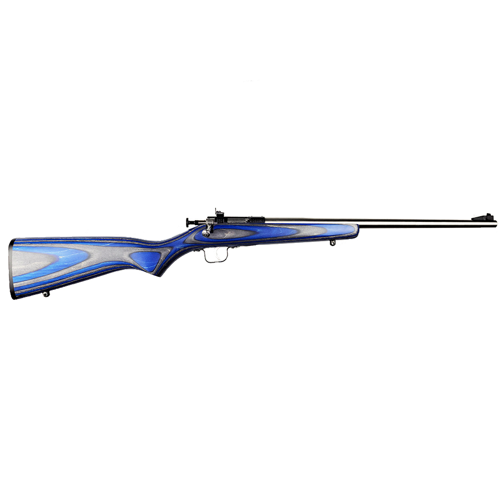 Keystone Sporting Arms | Crickett | 22 LR | Stainless