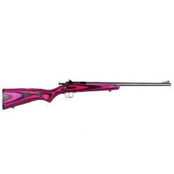 Keystone Sporting Arms | Crickett | 22 LR | Stainless