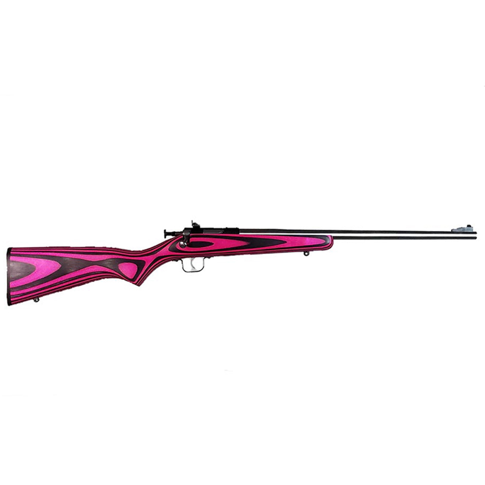 Keystone Sporting Arms | Crickett | 22 LR | Stainless