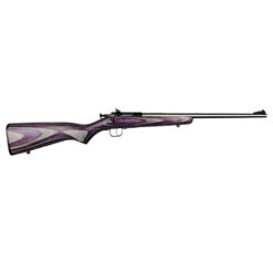 Keystone Sporting Arms | Crickett | 22 LR | Stainless
