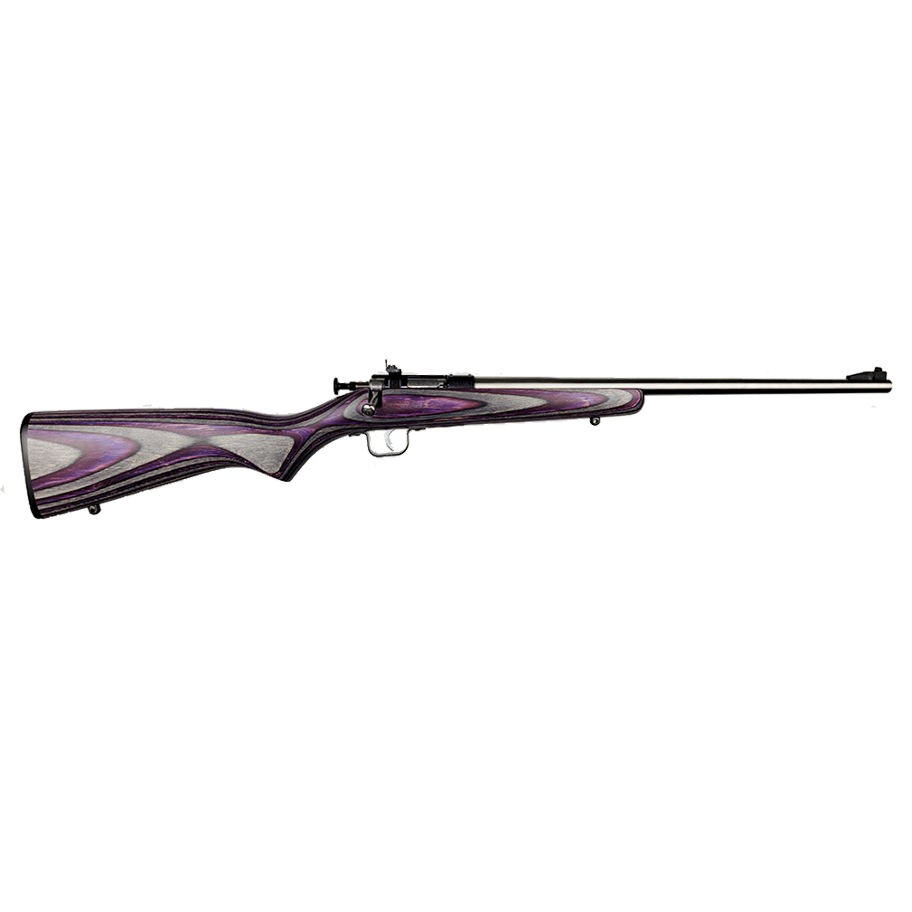 Keystone Sporting Arms | Crickett | 22 LR | Stainless