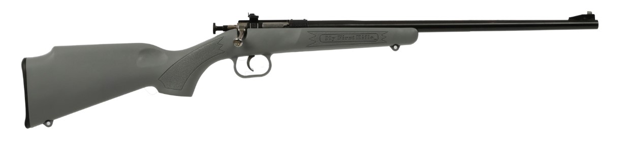 Keystone Sporting Arms | Crickett | 22 LR | Blue