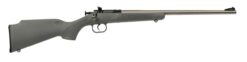 Keystone Sporting Arms | Crickett | 22 LR | Stainless