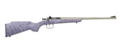Keystone Sporting Arms | Crickett | 22 LR | Stainless