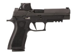 SIG SAUER OFF-DUTY | P320 M17 | 9mm | Black