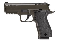 SIG SAUER | P226-XCarry Legion | 9mm | Legion Gray