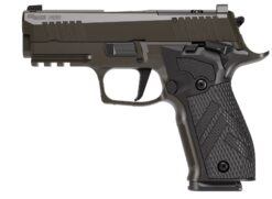 SIG SAUER | P226-XCarry Legion | 9mm | Legion Gray
